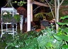 Show Gardens slide 3 thumbnail