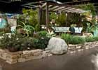 Show Gardens slide 1 thumbnail