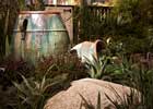 Show Gardens slide 3 thumbnail