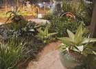 Show Gardens slide 5 thumbnail