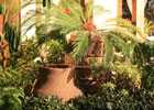 Show Gardens slide 1 thumbnail